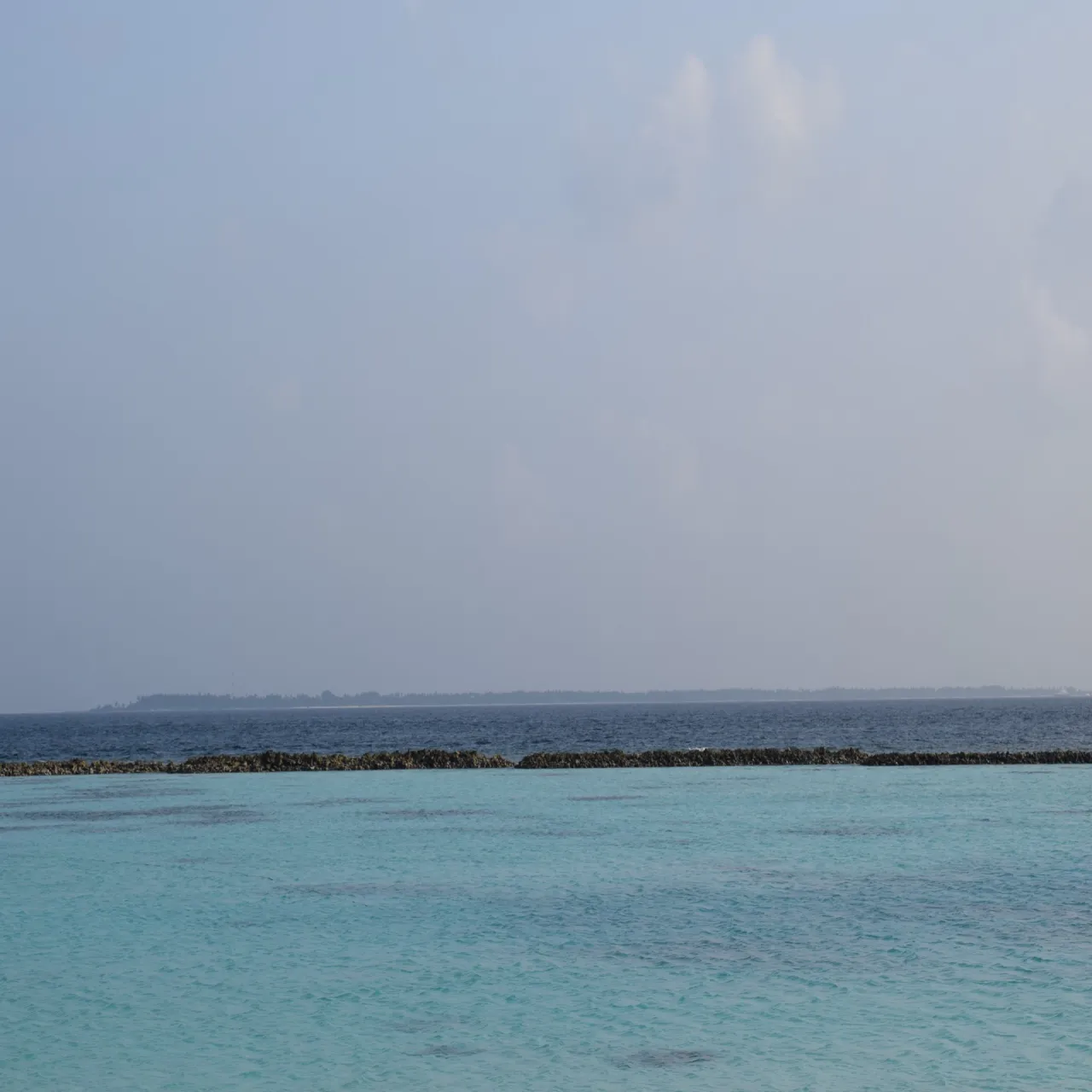 Whale Shark Escape, Dhigurah Dhigurah Maldives package