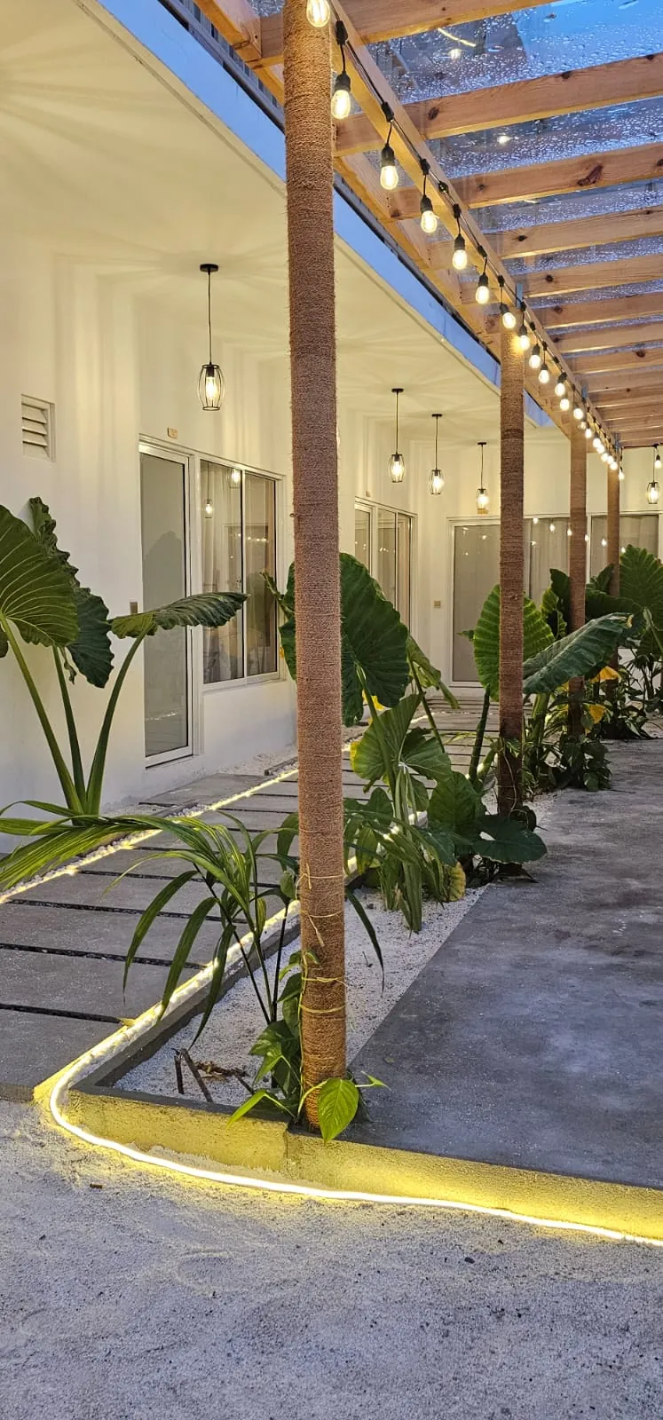 Garden courtyard walkway with palms and lantern lights at Ale Sara Guest House on Thoddoo, Maldives