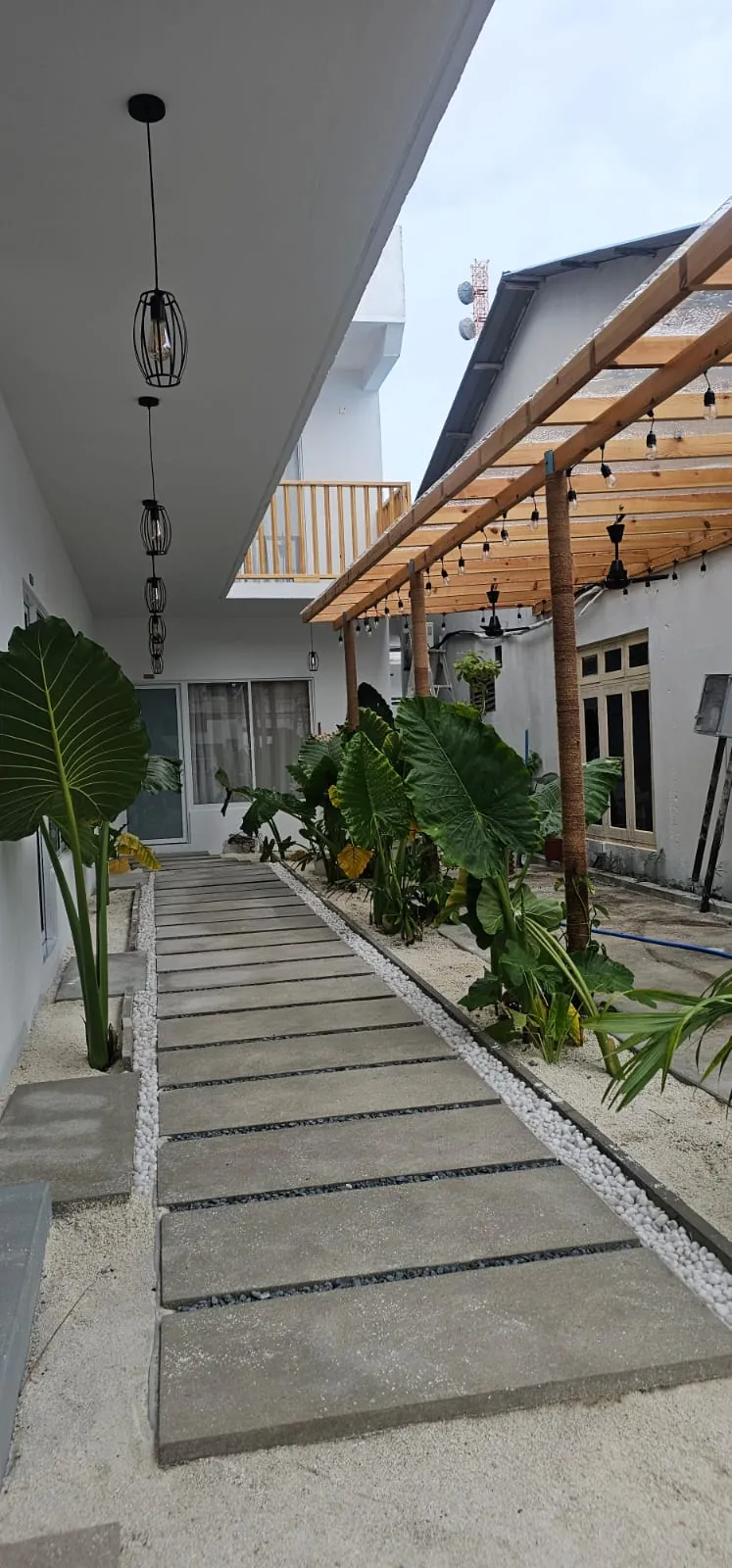 Courtyard path with wooden pergola and tropical plants at Ale Sara Guest House on Thoddoo, Maldives