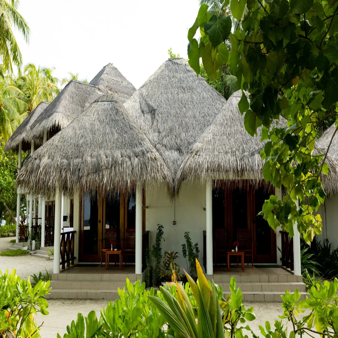 Beach at Fihalhohi Island Resort on Fihalhohi, Maldives