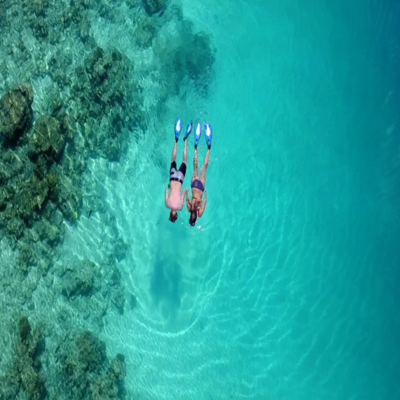 Activities at Nala Veli Beach & Spa on Ukulhas, Maldives