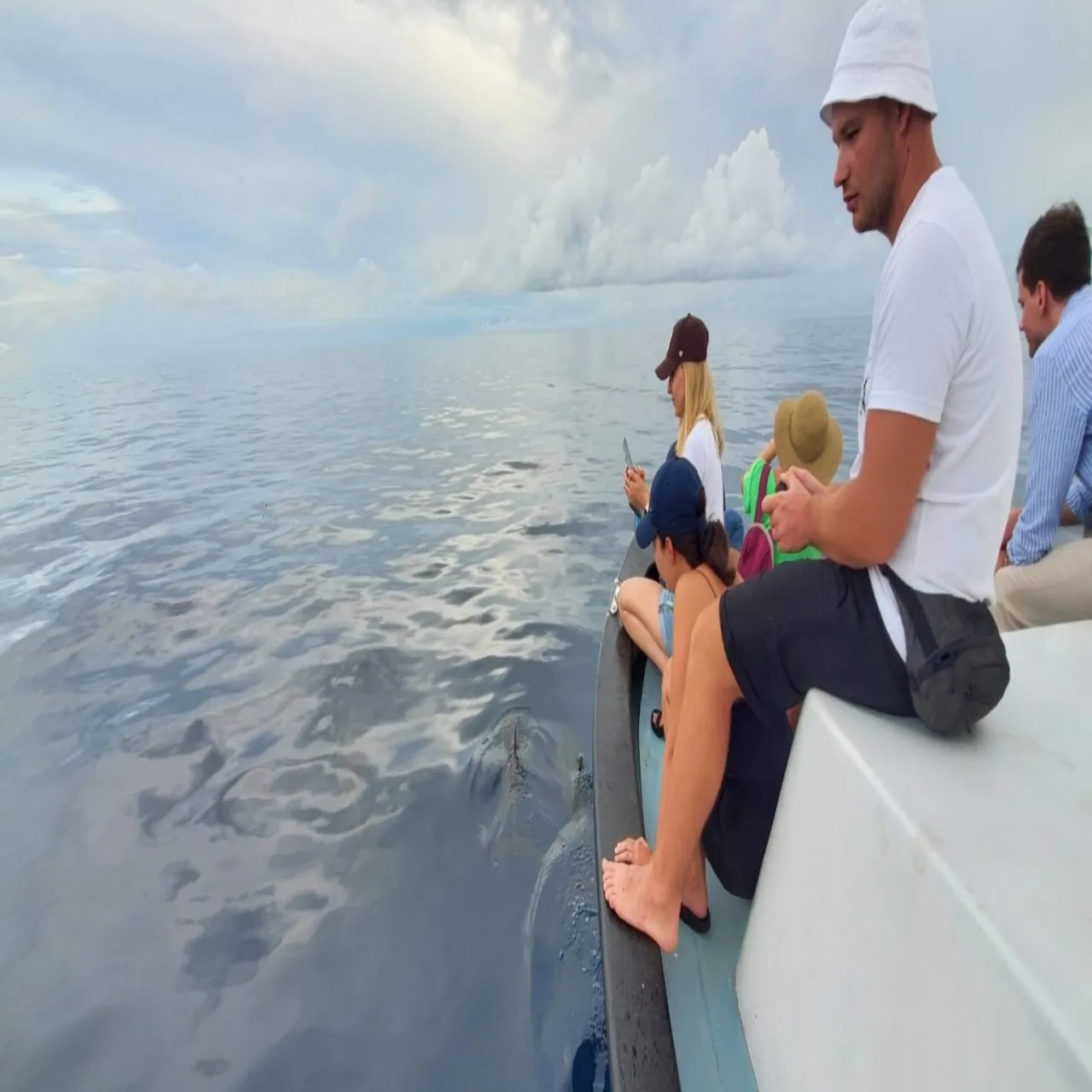 Excursions at Turtle Maldives on Omadhoo, Maldives