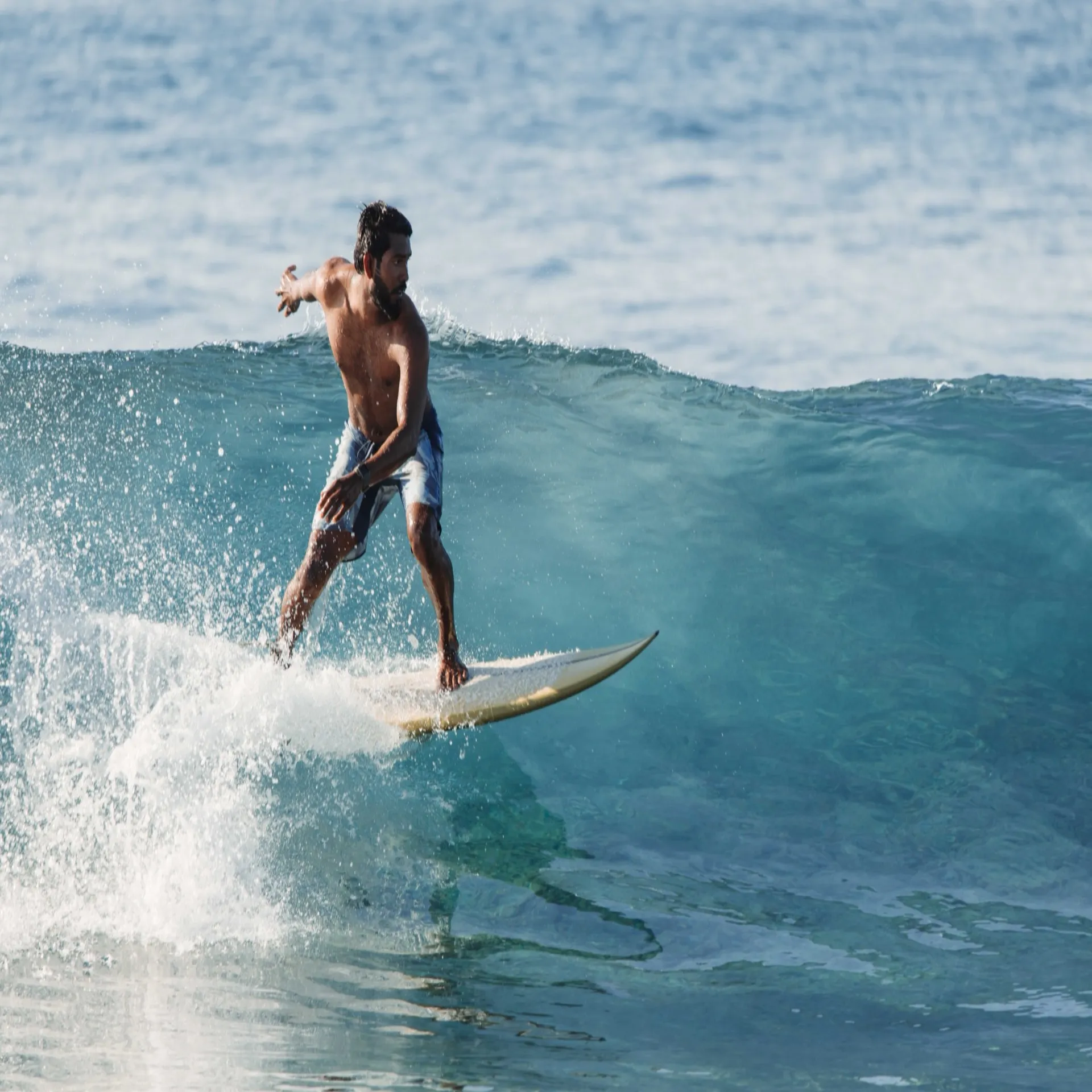 A surf wave breaking over a Maldives reef